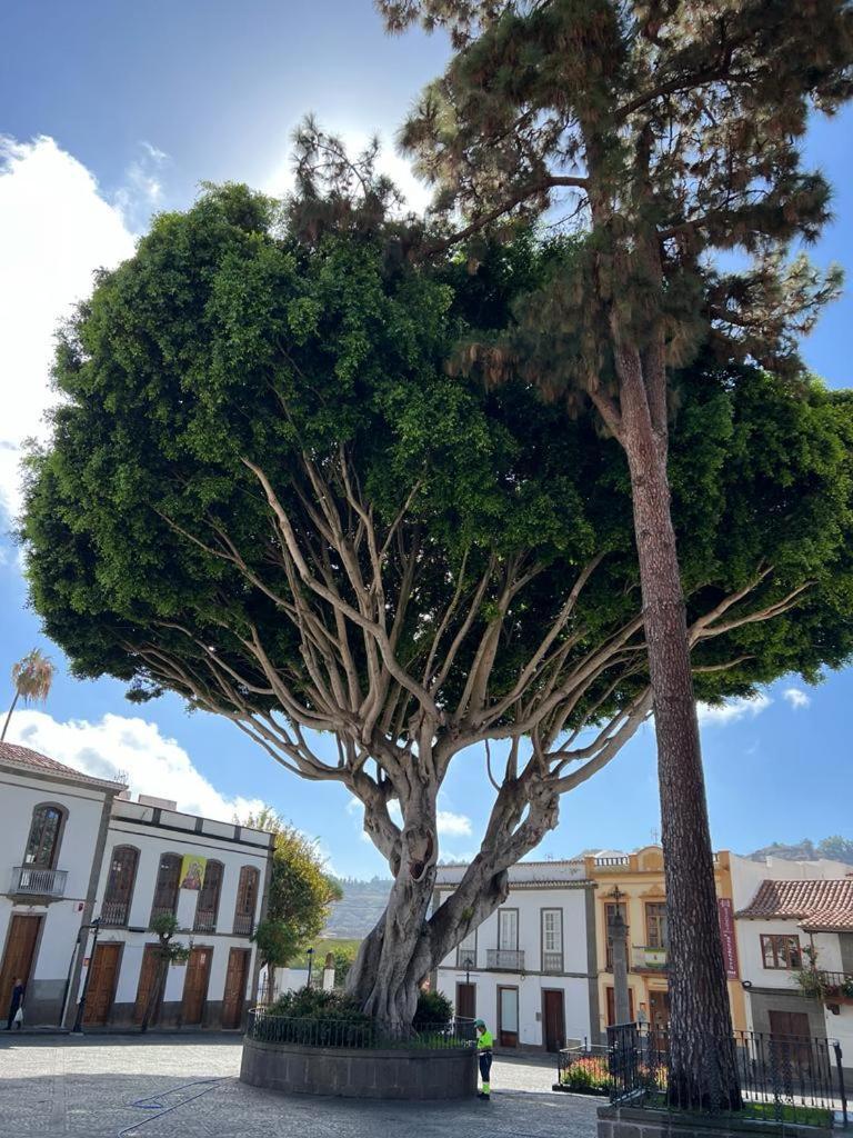 Casa En Teror Centrica Turismo De Ciudad Y Bosques Apartamento Exterior foto